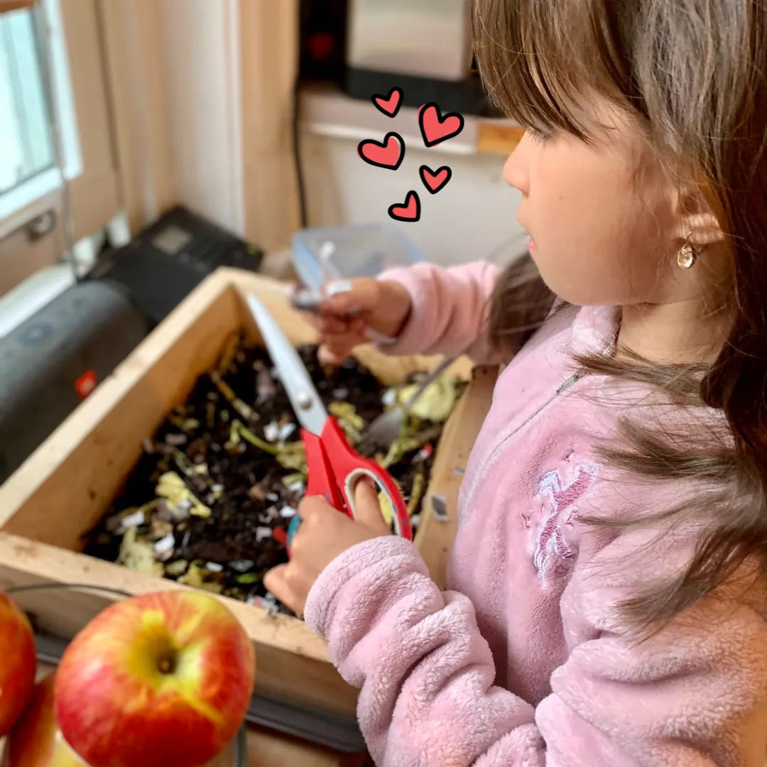 Mini Worm Studio The Box Of Life product_type art-noise.myshopify.com mini-worm-studio Mini Worm Studio The Box Of Life  art-noise.myshopify.com mini-worm-studio