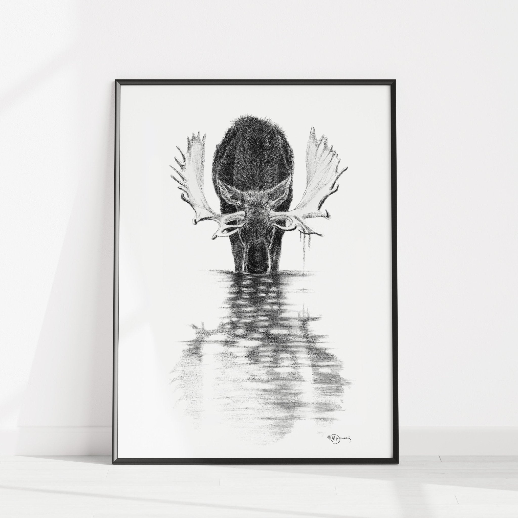 Moose in calm water
