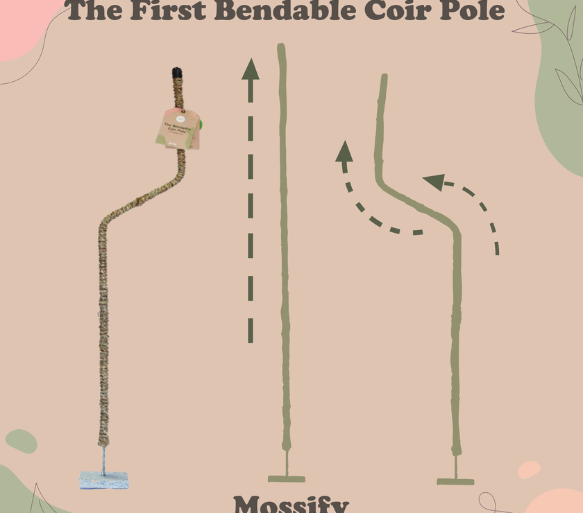 The Original Bendable Coir Pole™ - Best Seller (Tape Included)