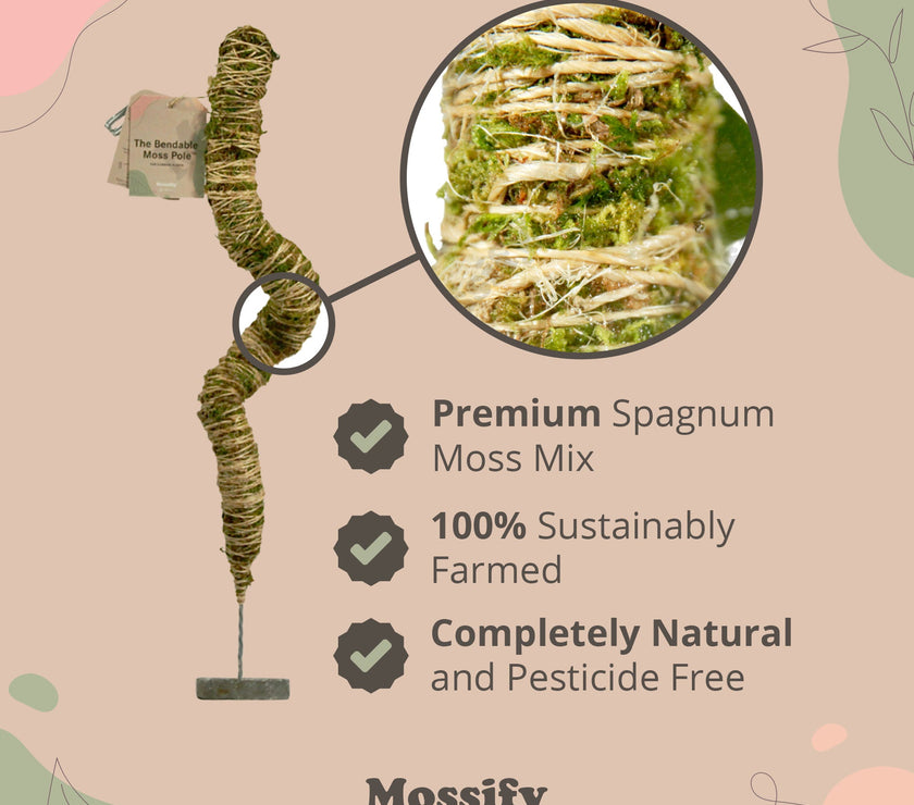 The Original Bendable Moss Pole™ - Best Seller (Pins Included)