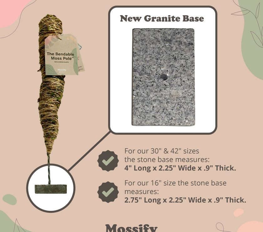 The Original Bendable Moss Pole™ - Best Seller (Pins Included)
