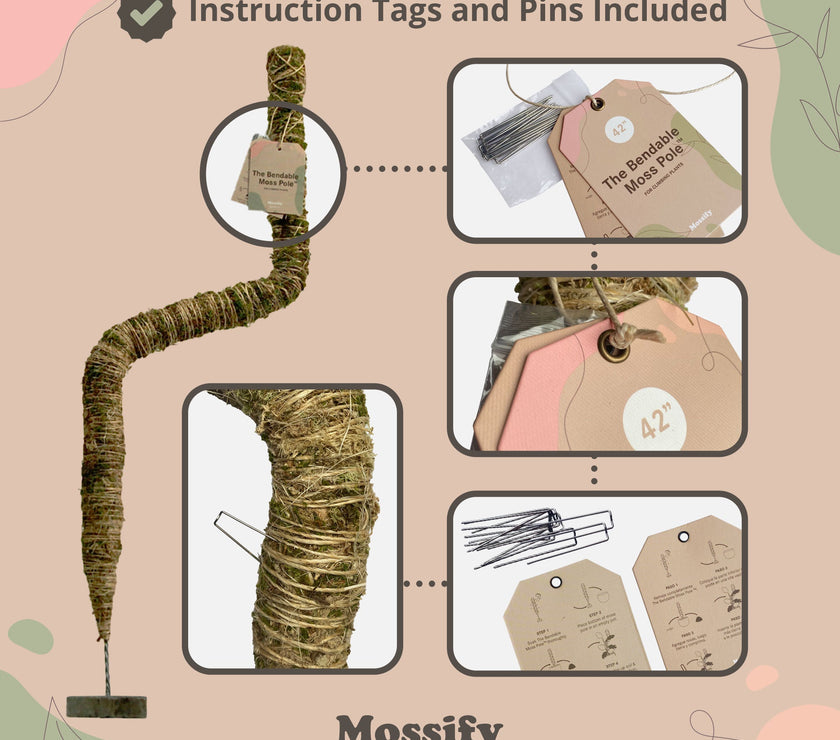 The Original Bendable Moss Pole™ - Best Seller (Pins Included)