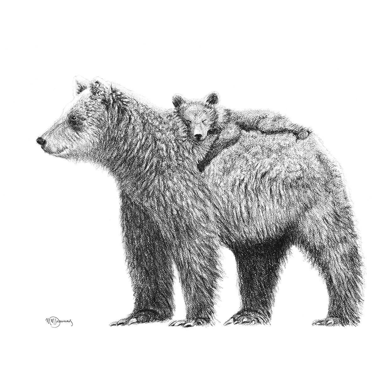 Grizzly with cub - "Social Animal" Collection LE NID atelier illustration art-noise.myshopify.com grizzly-with-cub-social-animal-collection Grizzly with cub - "Social Animal" Collection LE NID atelier illustration art-noise.myshopify.com grizzly-with-cub-social-animal-collection