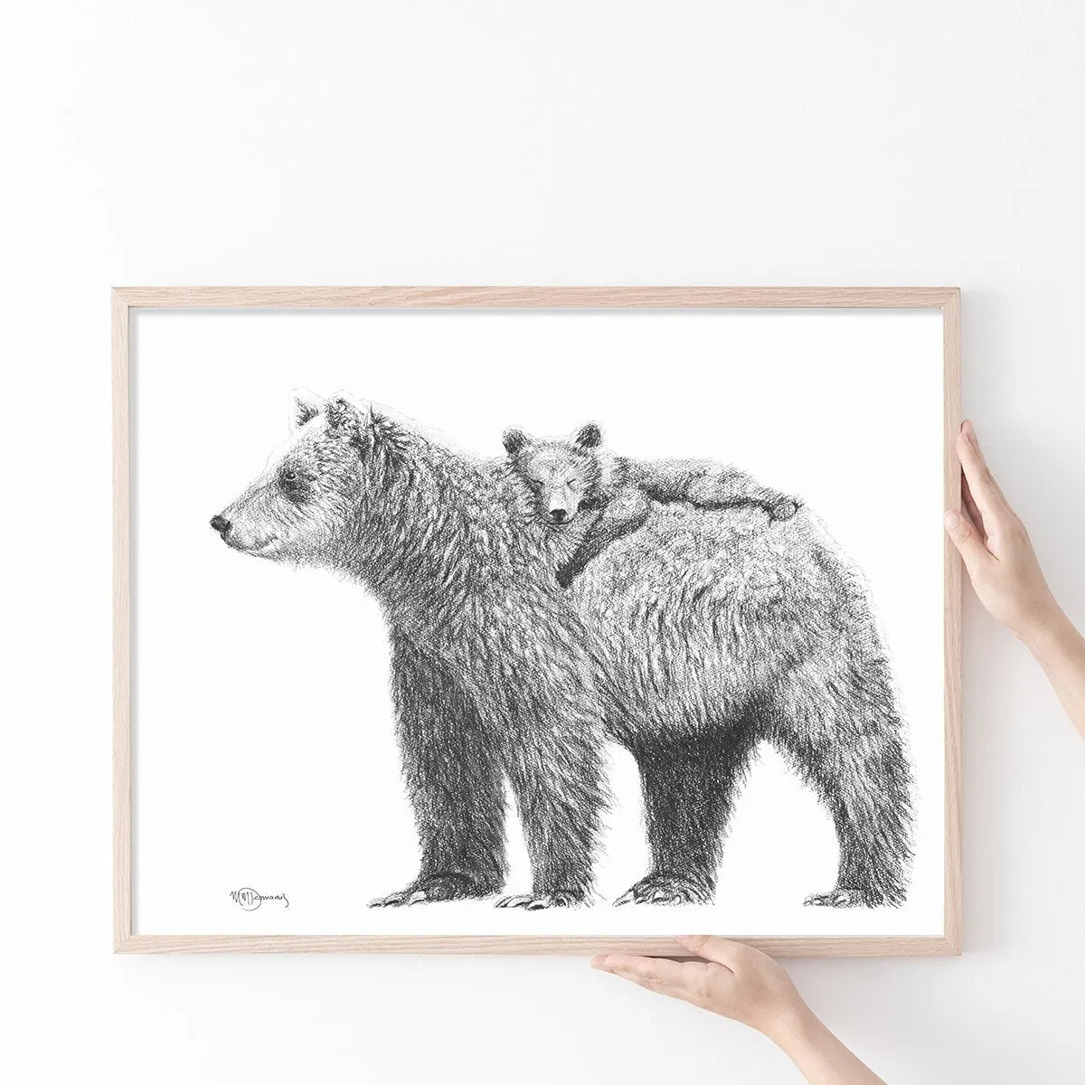 Grizzly with cub - "Social Animal" Collection LE NID atelier illustration art-noise.myshopify.com grizzly-with-cub-social-animal-collection Grizzly with cub - "Social Animal" Collection LE NID atelier illustration art-noise.myshopify.com grizzly-with-cub-social-animal-collection