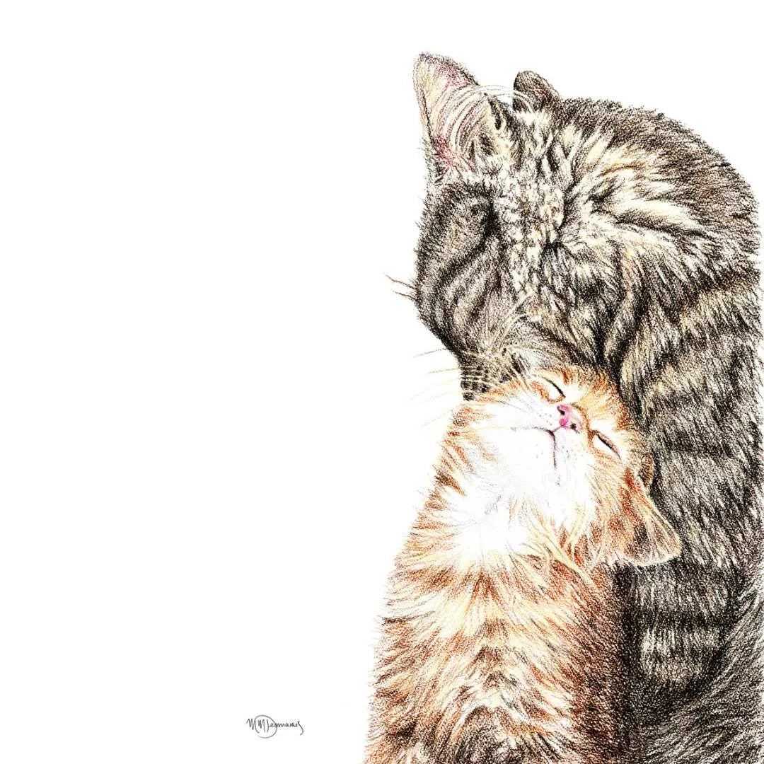 Mother Cat with kitten LE NID atelier illustration art-noise.myshopify.com mother-cat-with-kitten Mother Cat with kitten LE NID atelier illustration art-noise.myshopify.com mother-cat-with-kitten