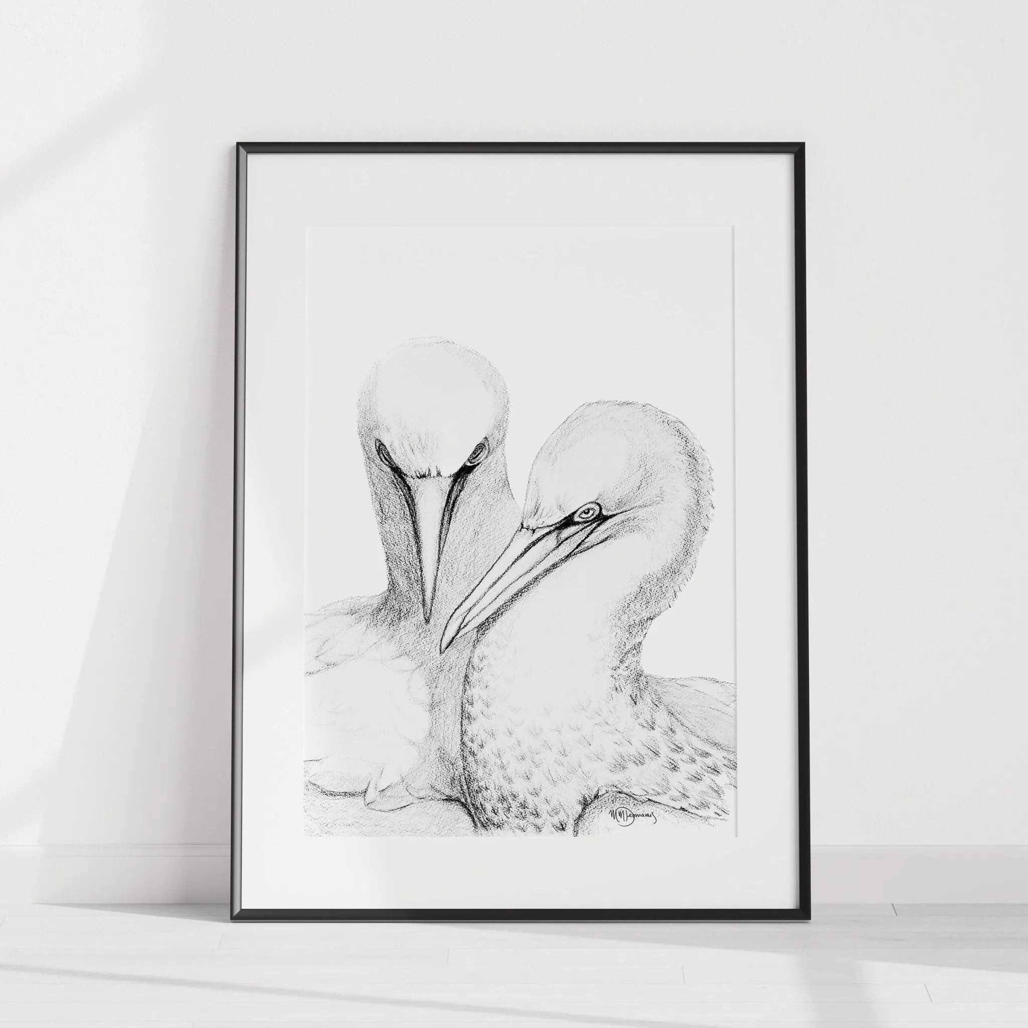 Northern Gannet - illustration LE NID atelier illustration art-noise.myshopify.com northern-gannet-illustration Northern Gannet - illustration LE NID atelier illustration art-noise.myshopify.com northern-gannet-illustration