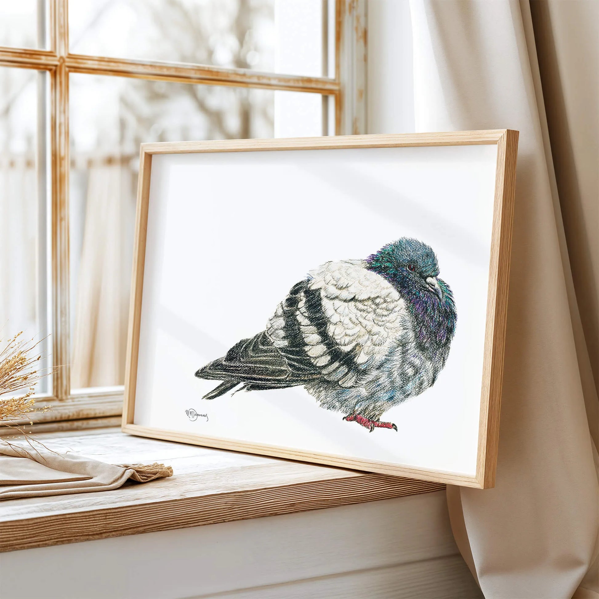 Pigeon Illustration LE NID atelier illustration art-noise.myshopify.com pigeon-illustration Pigeon Illustration LE NID atelier illustration art-noise.myshopify.com pigeon-illustration