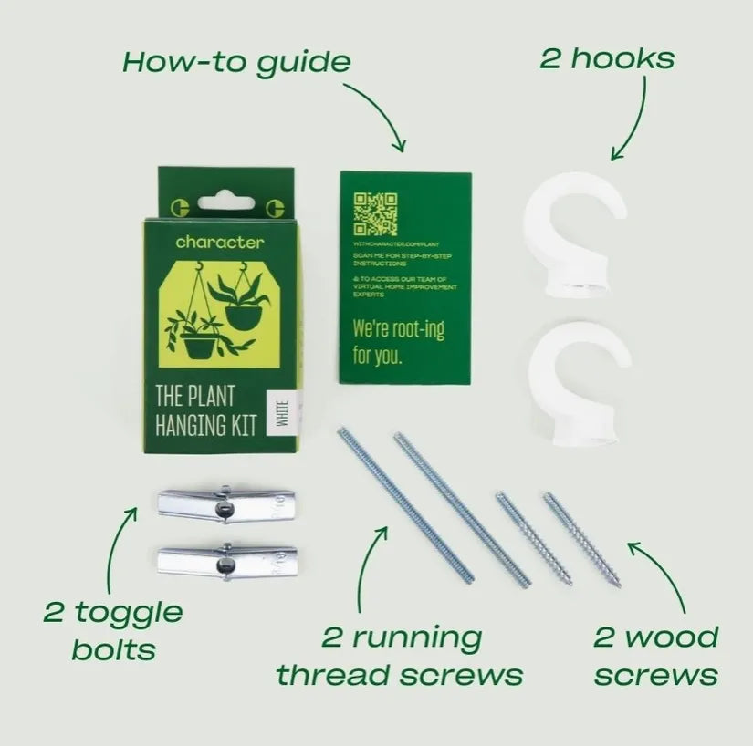 Character - The Plant Hanging Kit Character product_type art-noise.myshopify.com character-the-plant-hanging-kit Character - The Plant Hanging Kit Character  art-noise.myshopify.com character-the-plant-hanging-kit