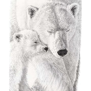 Polar Bear with cub illustration - "Social Animal" Collection LE NID atelier illustration art-noise.myshopify.com polar-bear-with-cub-illustration-social-animal-collection