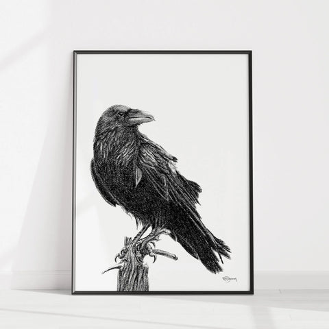 Raven Illustration LE NID atelier illustration art-noise.myshopify.com raven-illustration Raven Illustration LE NID atelier illustration art-noise.myshopify.com raven-illustration