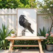 Raven Illustration