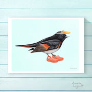 Amélie Legault - American Redstart with Crocs Print - Art Noise Amélie Legault - American Redstart with Crocs Print Amelie Legault Fine Art Prints art-noise.myshopify.com amelie-legault-american-redstart-with-crocs-print Amélie Legault - American Redstart with Crocs Print Amelie Legault Fine Art Prints art-noise.myshopify.com amelie-legault-american-redstart-with-crocs-print