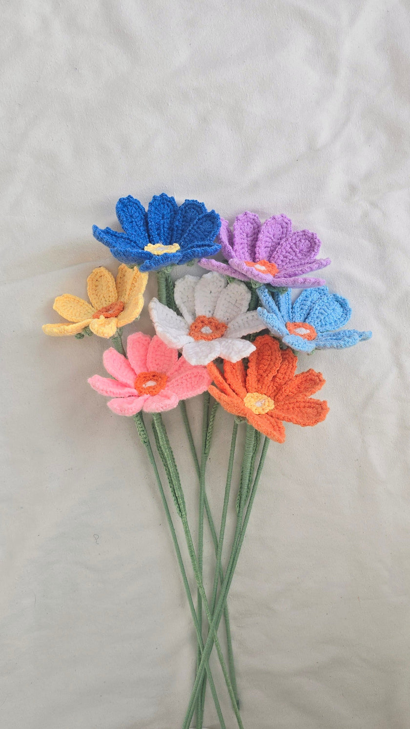 Cosmos