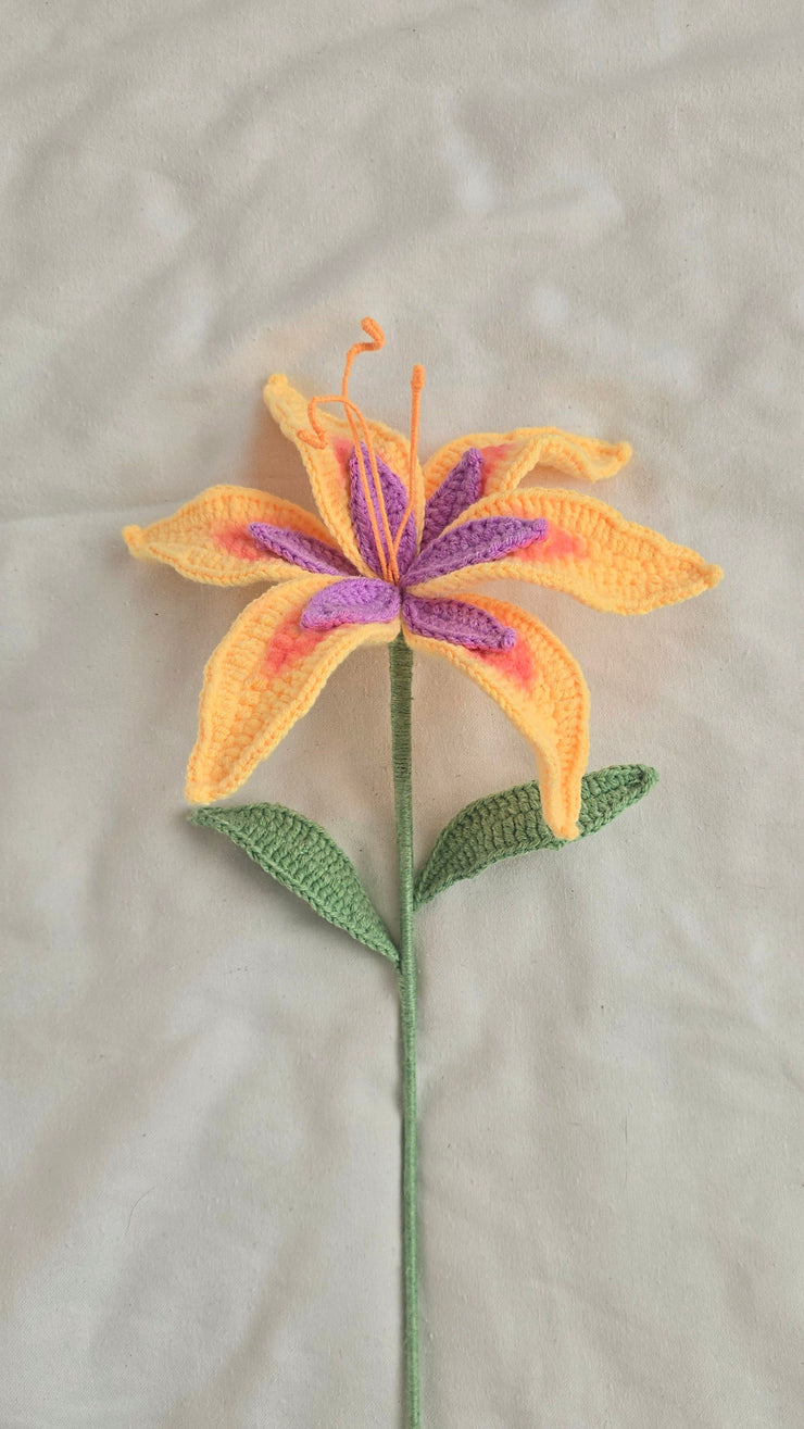 Sundrop Flower