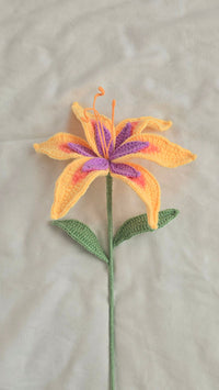 Sundrop Flower