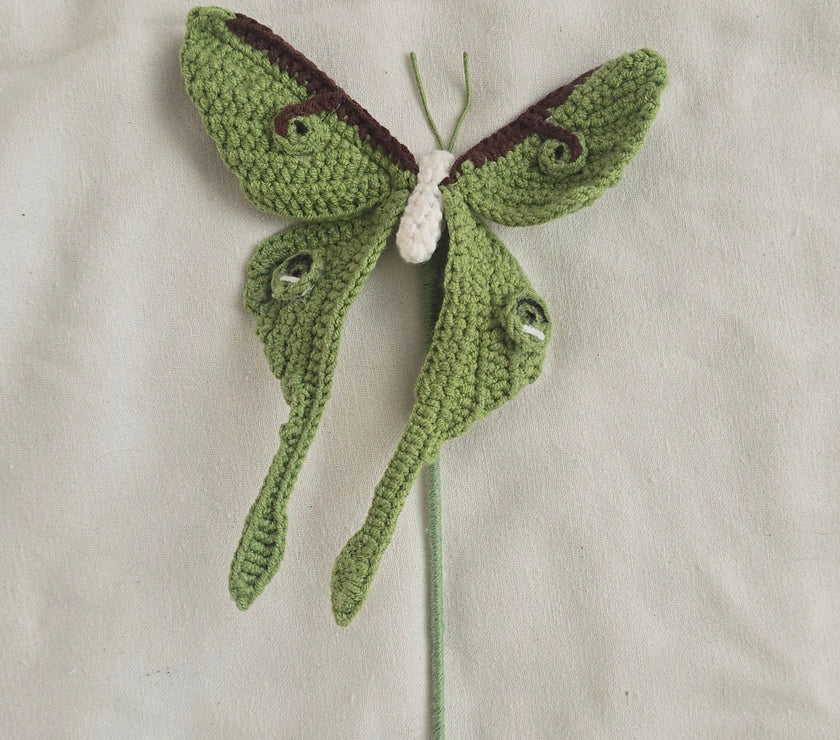 Luna Moth