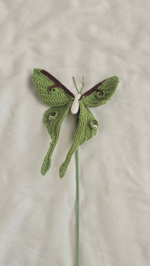 Luna Moth