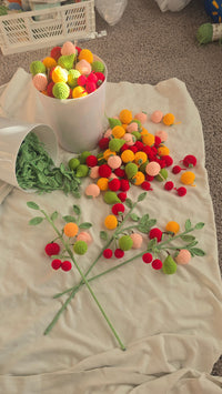 Fruits