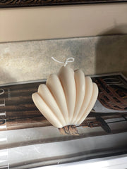 Elegant Shell Eloise and Oliver Decorative Candle art-noise.myshopify.com elegant-shell Elegant Shell Eloise and Oliver Decorative Candle art-noise.myshopify.com elegant-shell