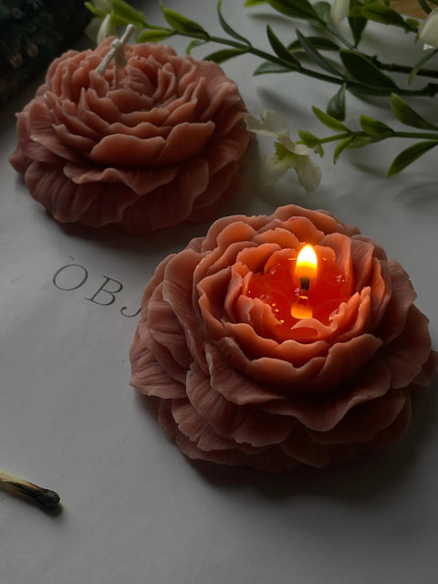 Peony Eloise and Oliver Decorative Candle art-noise.myshopify.com peony-1 Peony Eloise and Oliver Decorative Candle art-noise.myshopify.com peony-1