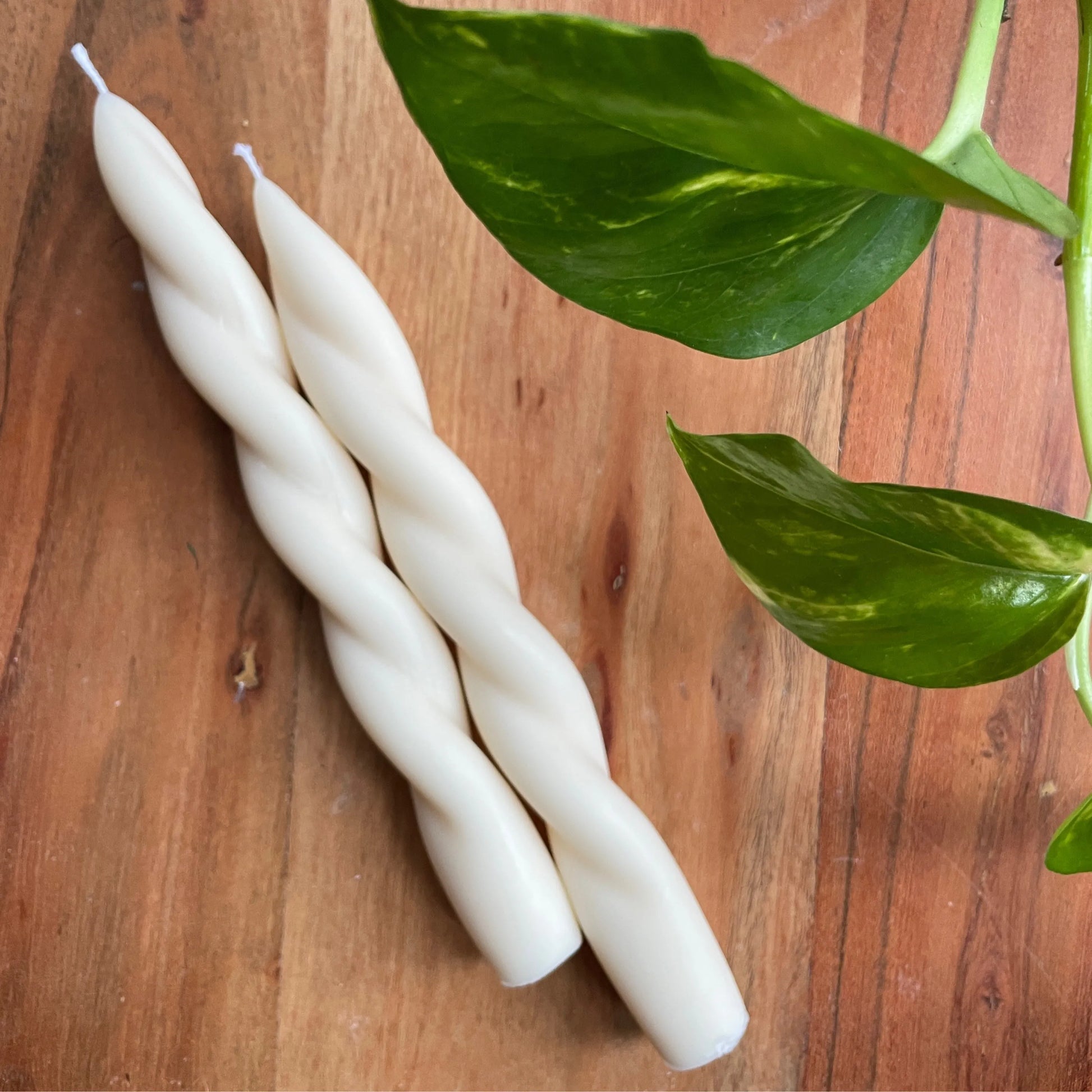 Lilia Candlestick Eloise and Oliver Candlestick art-noise.myshopify.com lilia-candlestick Lilia Candlestick Eloise and Oliver Candlestick art-noise.myshopify.com lilia-candlestick