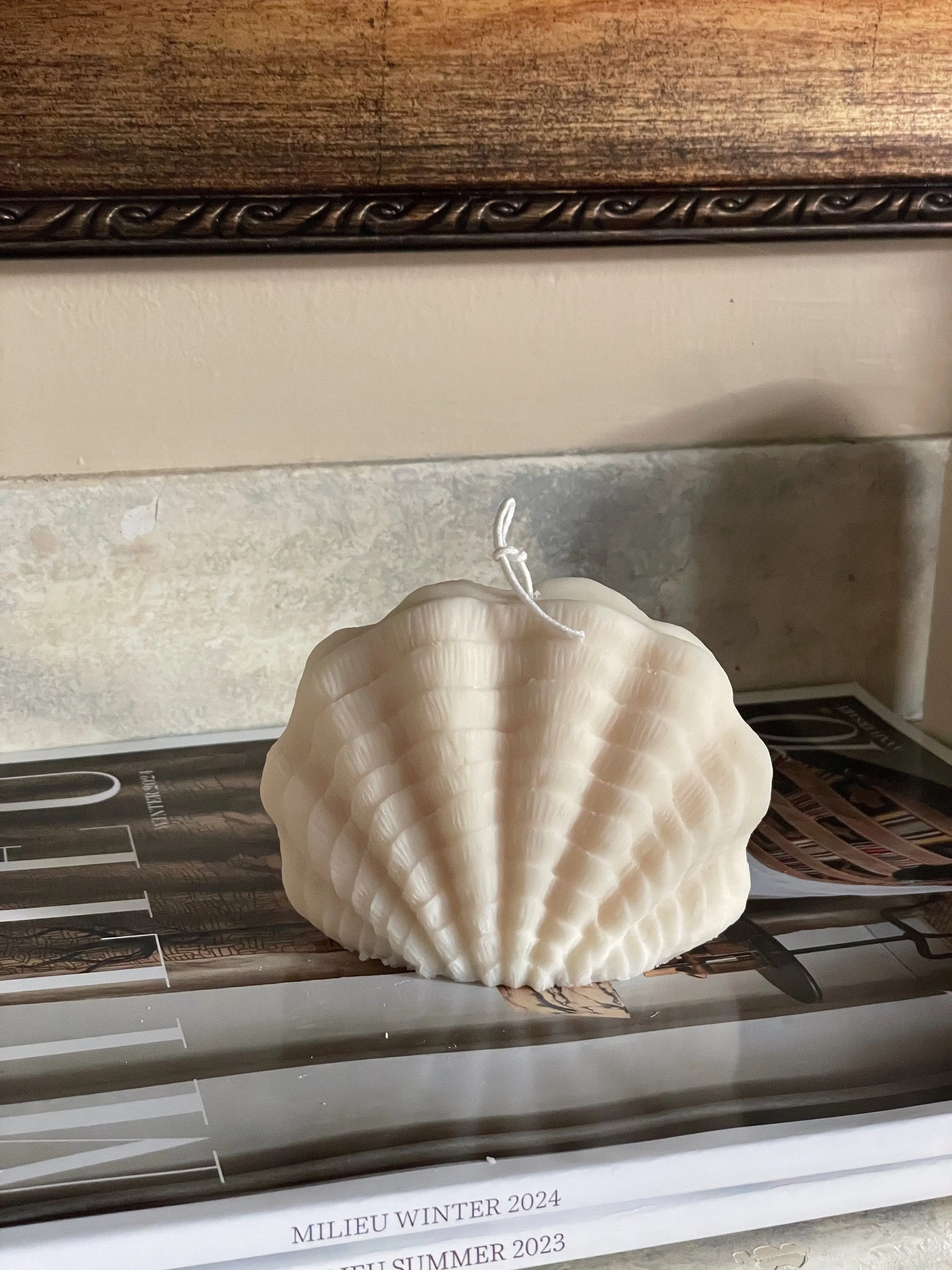 Ocean Shell Eloise and Oliver Decorative Candle art-noise.myshopify.com ocean-shell Ocean Shell Eloise and Oliver Decorative Candle art-noise.myshopify.com ocean-shell