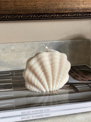Ocean Shell Eloise and Oliver Decorative Candle art-noise.myshopify.com ocean-shell