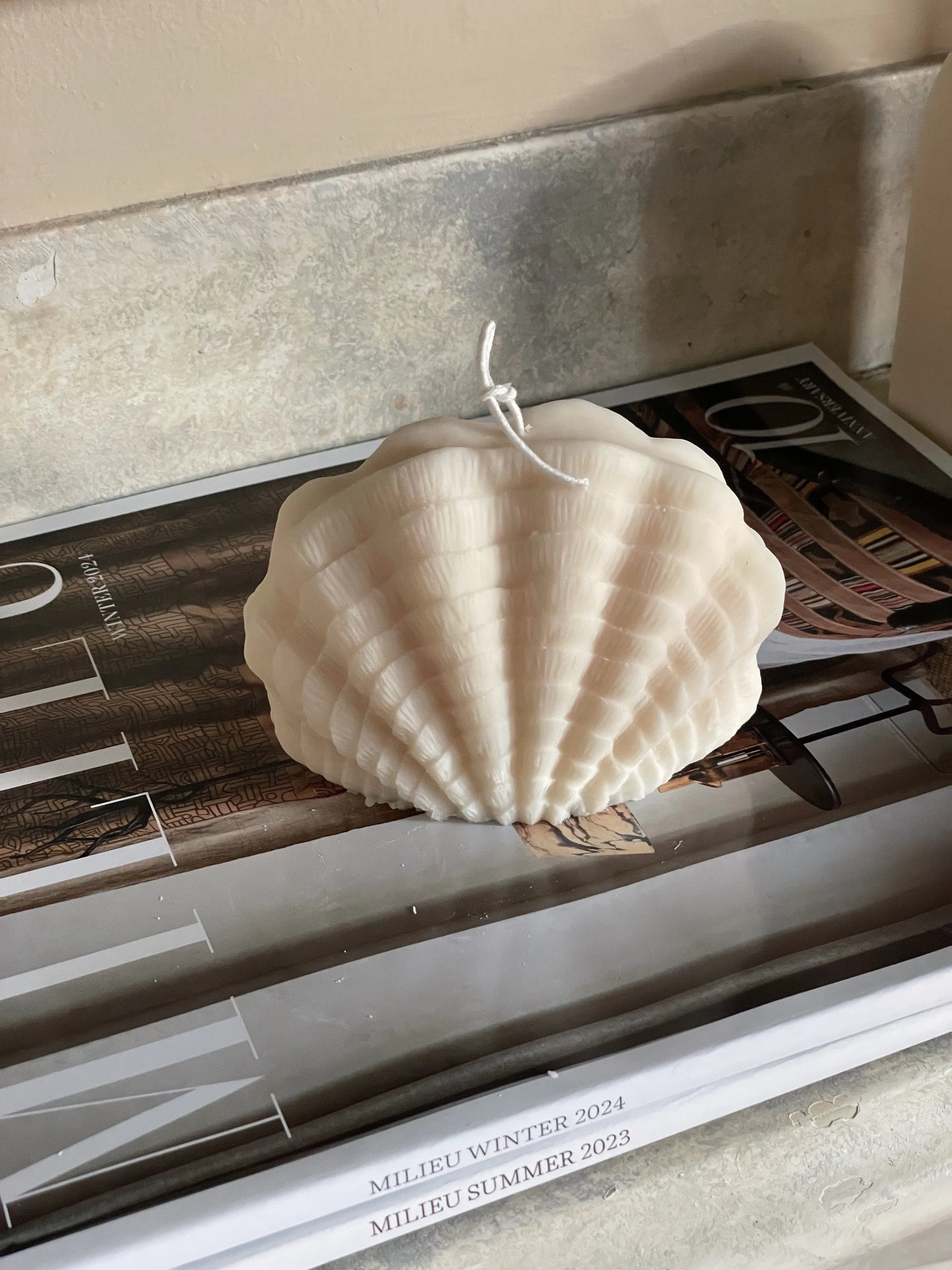 Ocean Shell Eloise and Oliver Decorative Candle art-noise.myshopify.com ocean-shell Ocean Shell Eloise and Oliver Decorative Candle art-noise.myshopify.com ocean-shell