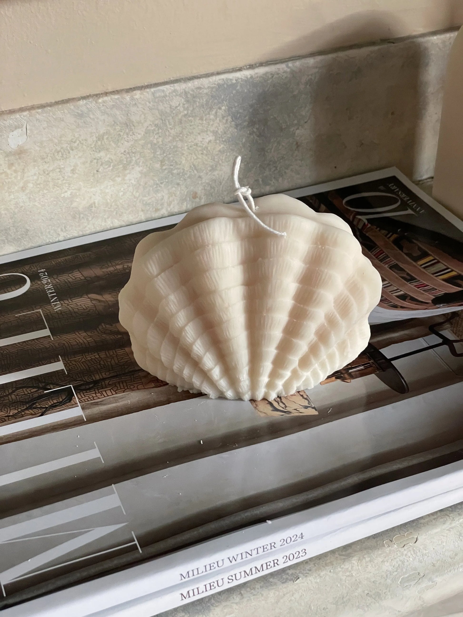 Ocean Shell Eloise and Oliver Decorative Candle art-noise.myshopify.com ocean-shell Ocean Shell Eloise and Oliver Decorative Candle art-noise.myshopify.com ocean-shell