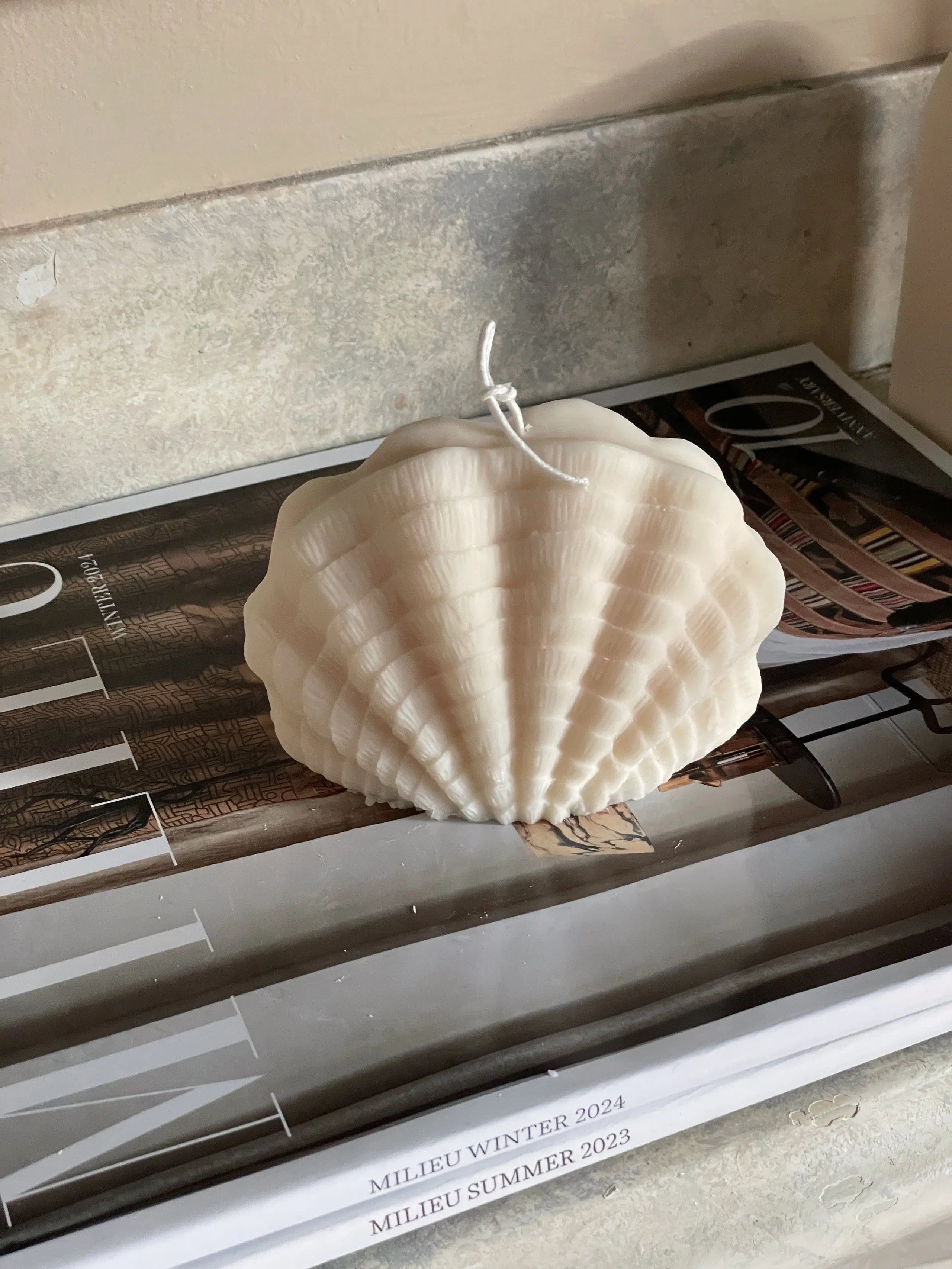 Ocean Shell Eloise and Oliver Decorative Candle art-noise.myshopify.com ocean-shell Ocean Shell Eloise and Oliver Decorative Candle art-noise.myshopify.com ocean-shell