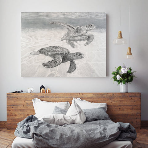 Sea Turtles Illustration - "Social Animal" Collection