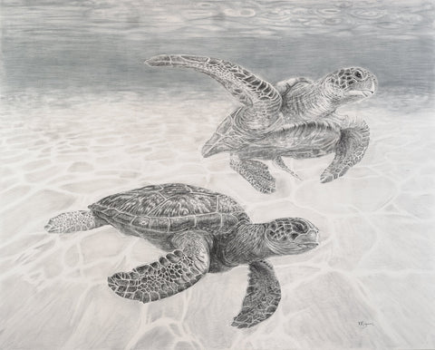 Sea Turtles Illustration - "Social Animal" Collection LE NID atelier illustration art-noise.myshopify.com sea-turtles-illustration-social-animal-collection