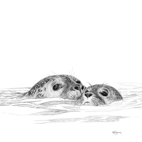 Seal with cub - illustration