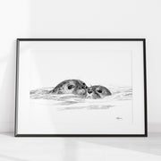 Seal with cub - illustration