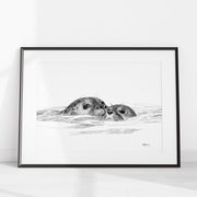 Seal with cub - illustration LE NID atelier illustration art-noise.myshopify.com seal-with-cub-illustration Seal with cub - illustration LE NID atelier illustration art-noise.myshopify.com seal-with-cub-illustration