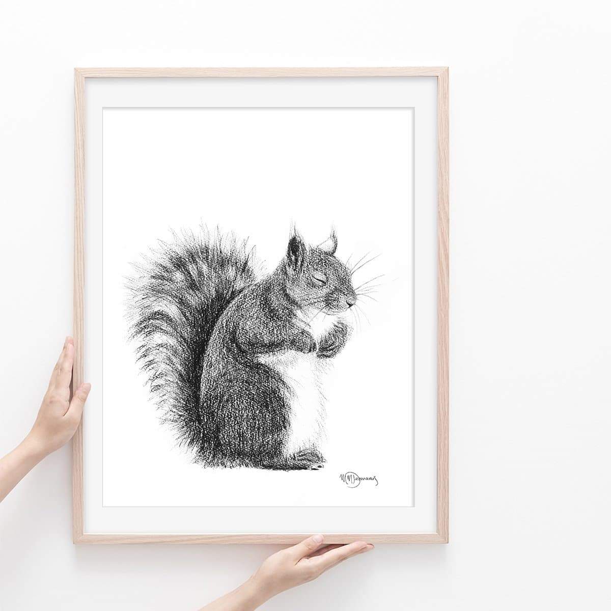 Sleeping Squirrel illustration - "Social Animal" Collection