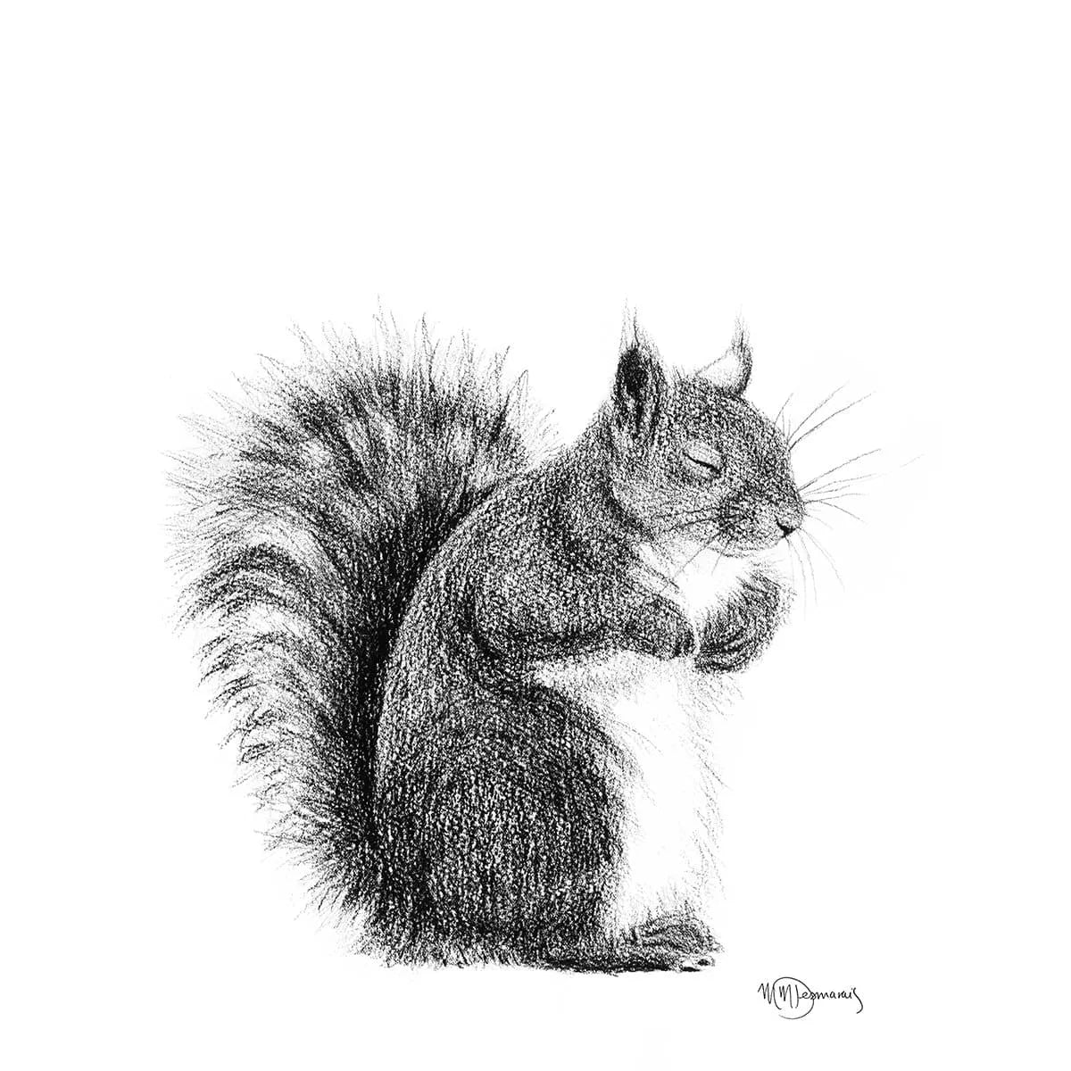  Sleeping Squirrel illustration - "Social Animal" Collection LE NID atelier illustration art-noise.myshopify.com sleeping-squirrel-illustration-social-animal-collection