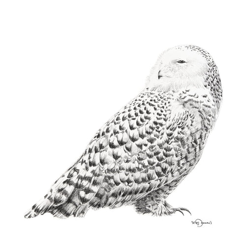 Snowy Owl LE NID atelier illustration art-noise.myshopify.com snowy-owl
