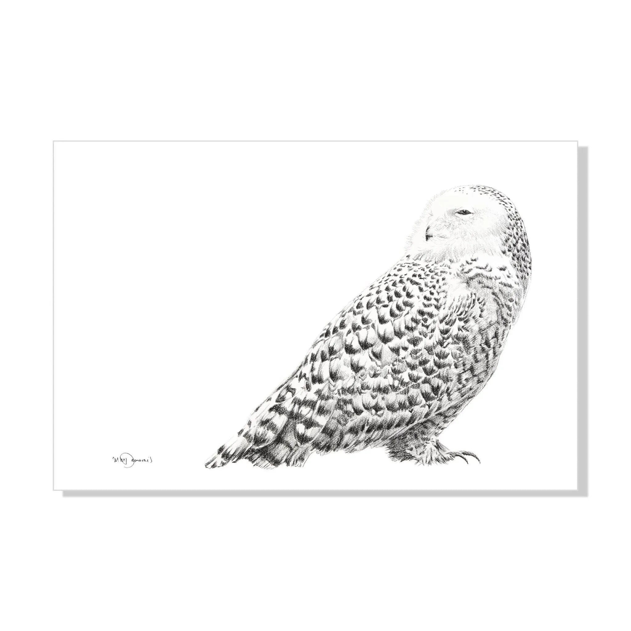 Snowy Owl LE NID atelier illustration art-noise.myshopify.com snowy-owl Snowy Owl LE NID atelier illustration art-noise.myshopify.com snowy-owl