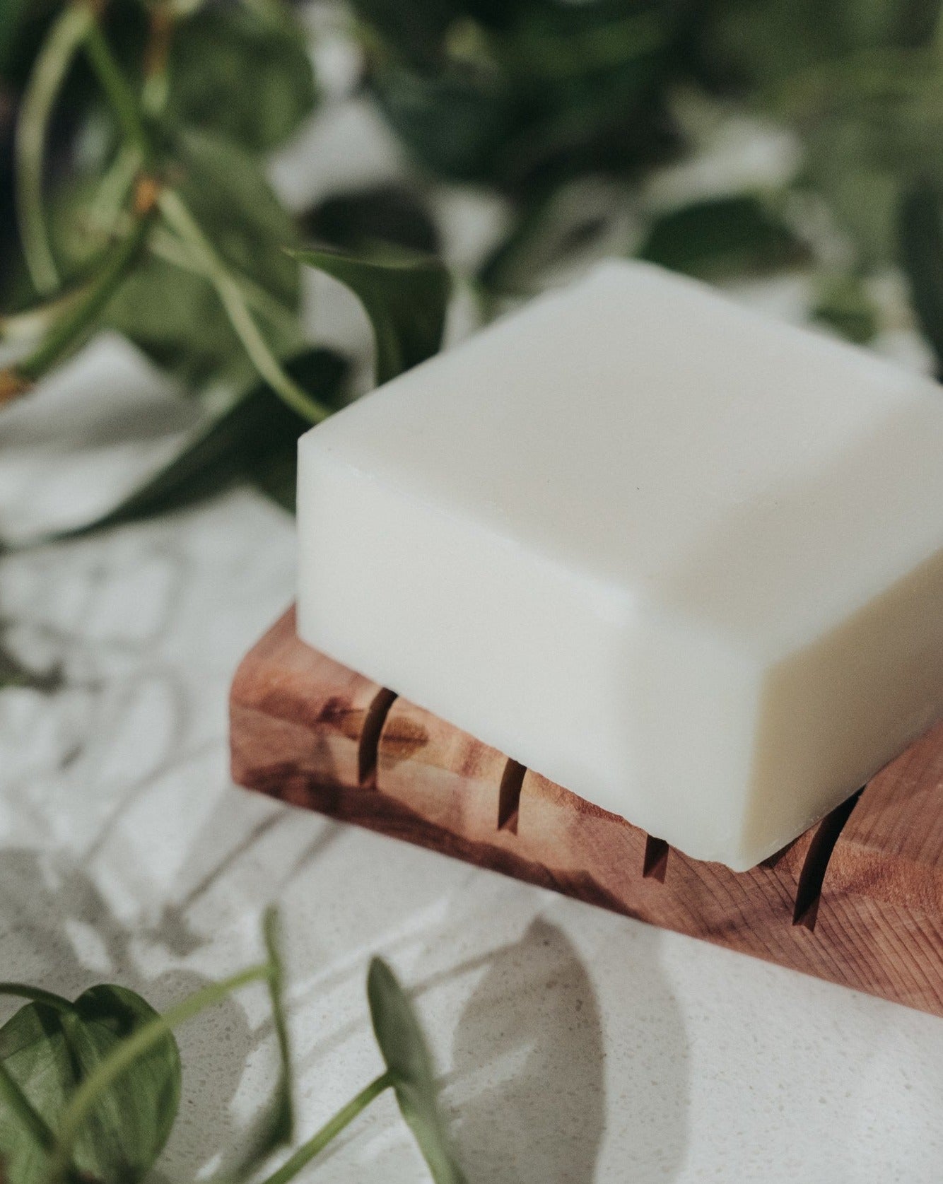 Solid Dish Soap Bar | Bergamot + Lime
