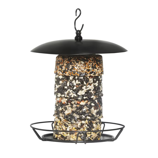 A black metal hanging bird feeder filled with mixed seed, shown against a plain white background.