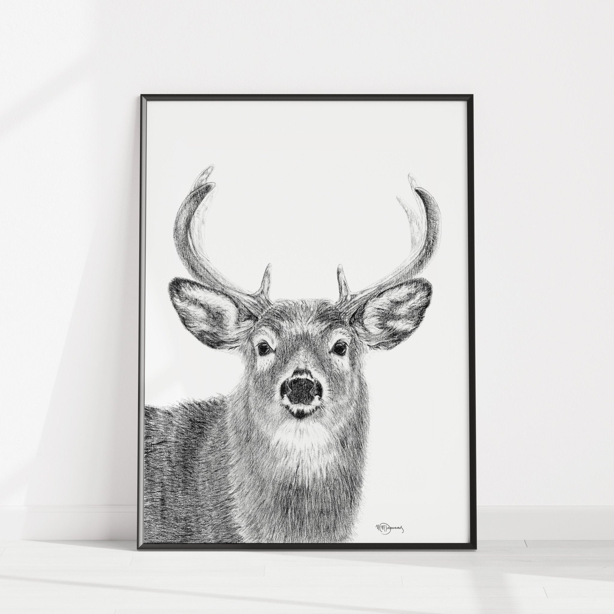Stag