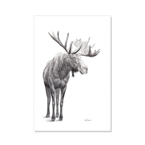 Standing Moose LE NID atelier illustration art-noise.myshopify.com standing-moose Standing Moose LE NID atelier illustration art-noise.myshopify.com standing-moose
