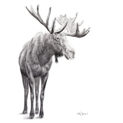 Standing Moose LE NID atelier illustration art-noise.myshopify.com standing-moose Standing Moose LE NID atelier illustration art-noise.myshopify.com standing-moose