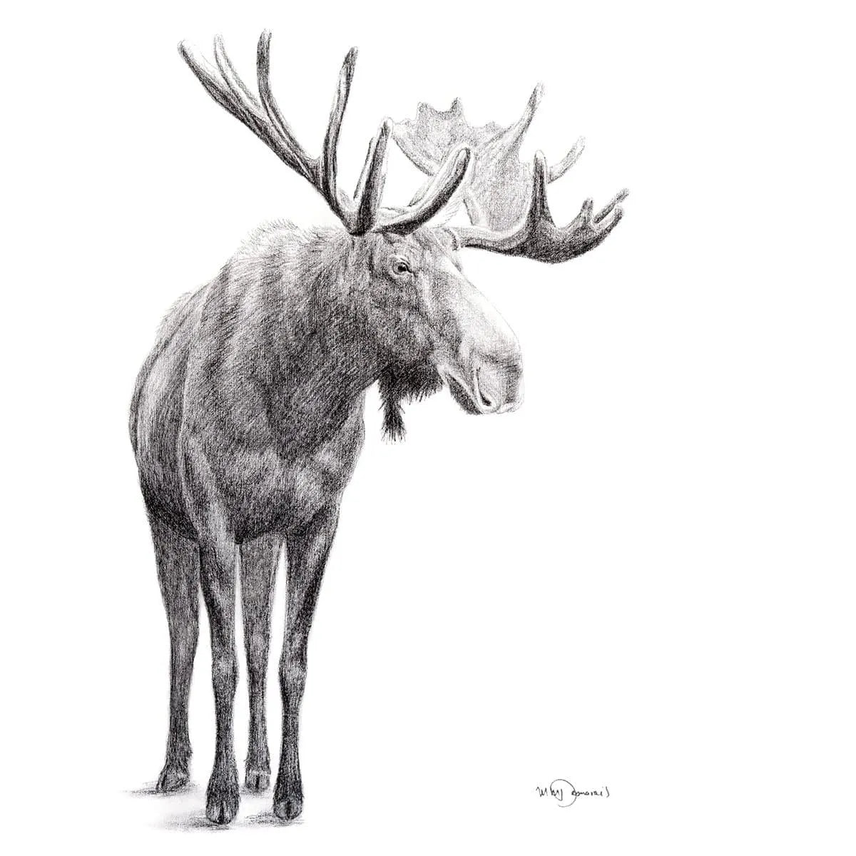 Standing Moose LE NID atelier illustration art-noise.myshopify.com standing-moose Standing Moose LE NID atelier illustration art-noise.myshopify.com standing-moose