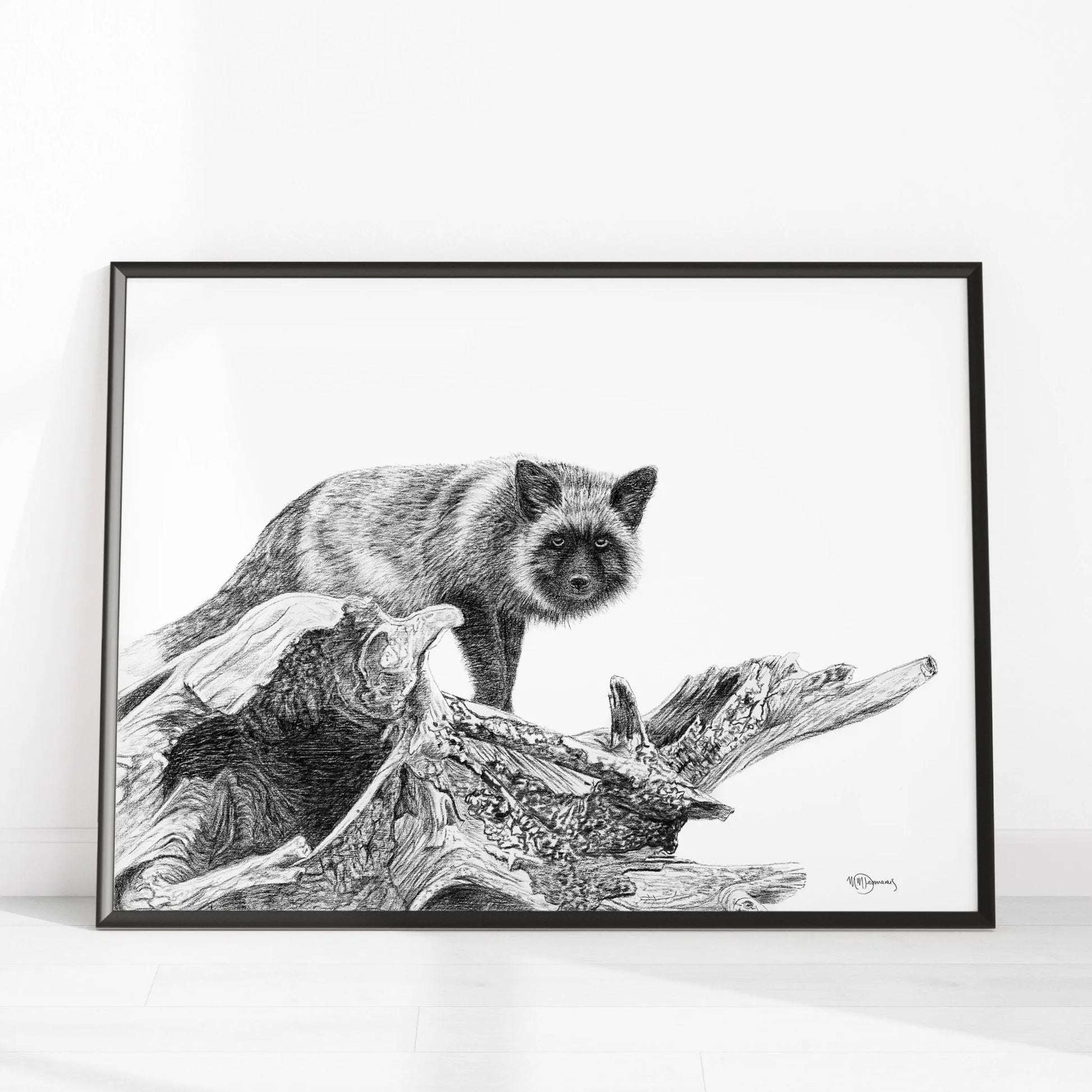 The silver fox LE NID atelier illustration art-noise.myshopify.com the-silver-fox The silver fox LE NID atelier illustration art-noise.myshopify.com the-silver-fox
