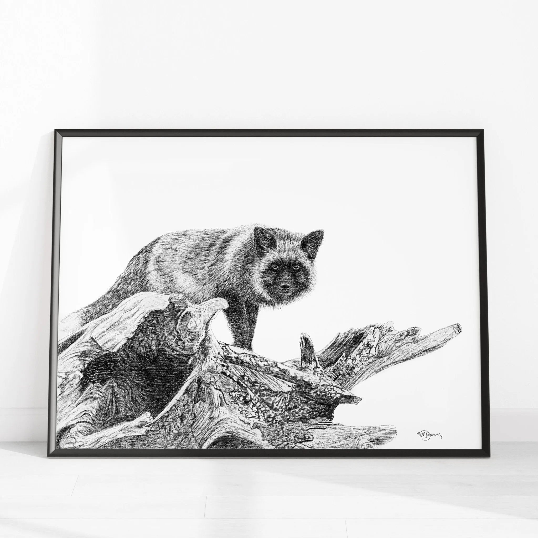 The silver fox LE NID atelier illustration art-noise.myshopify.com the-silver-fox The silver fox LE NID atelier illustration art-noise.myshopify.com the-silver-fox