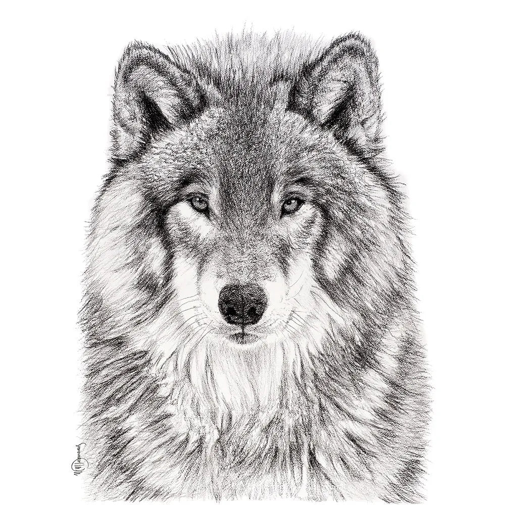 The Wolf Portrait LE NID atelier illustration art-noise.myshopify.com the-wolf-portrait The Wolf Portrait LE NID atelier illustration art-noise.myshopify.com the-wolf-portrait