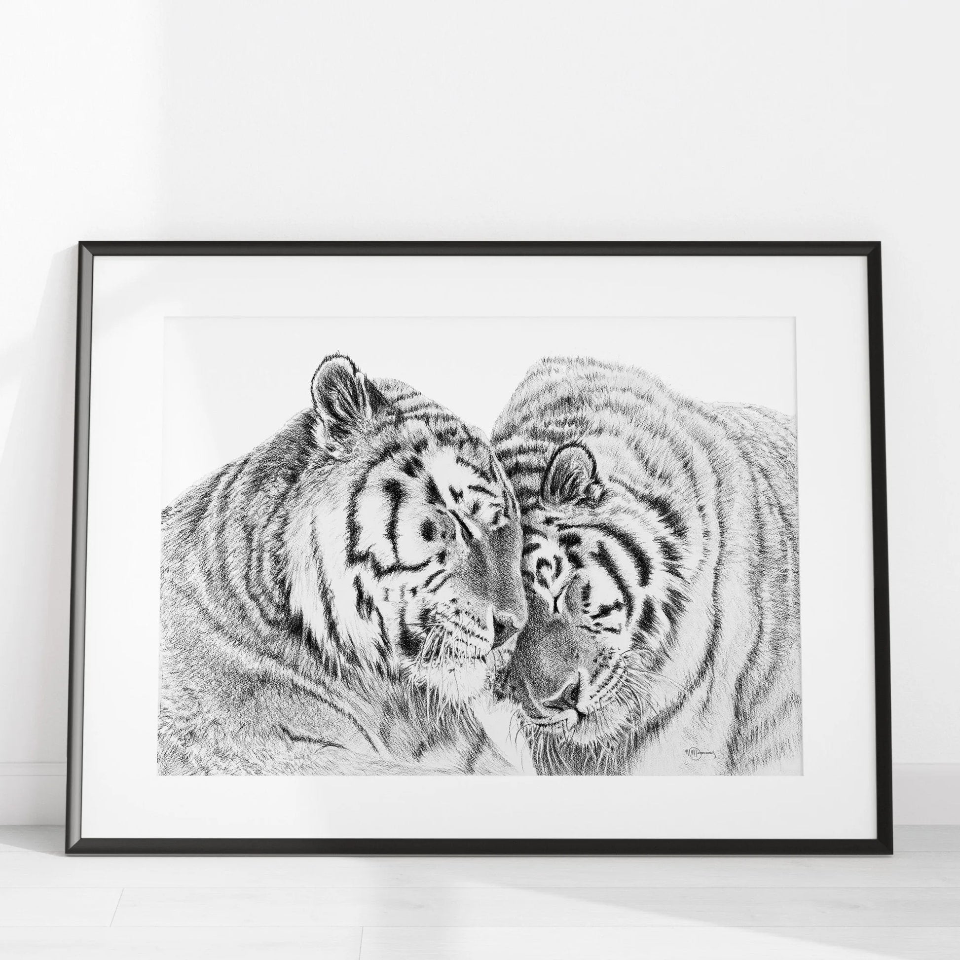  Tigers - Amur Tigers illustration - collaboration with  La Fondation du Zoo de Granby LE NID atelier illustration art-noise.myshopify.com tigers-amur-tigers-illustration-collaboration-with-la-fondation-du-zoo-de-granby