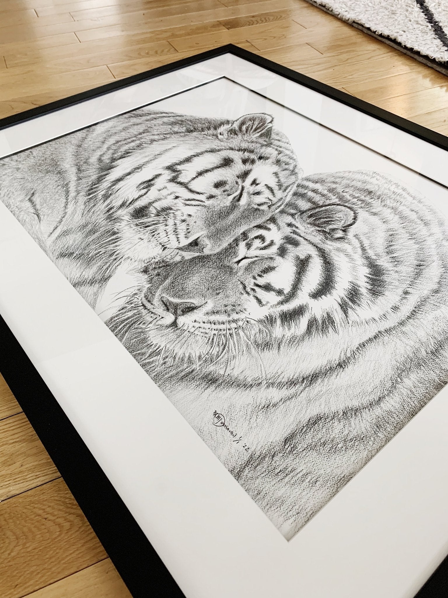 Tigers - Amur Tigers illustration - collaboration with  La Fondation du Zoo de Granby